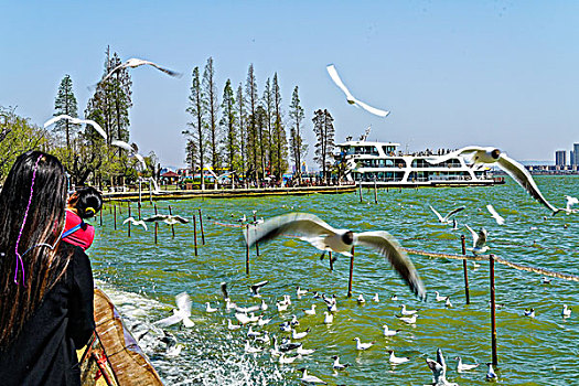 đánh lô dàn hiệu quả