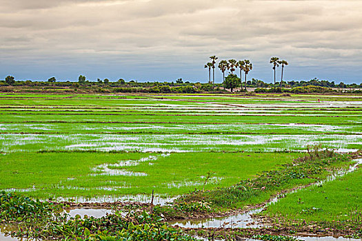 soi cầu mb hom nay