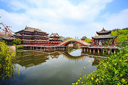 soi cau lo rong bach kim