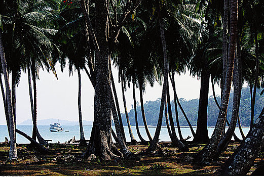 xsmb dại phát