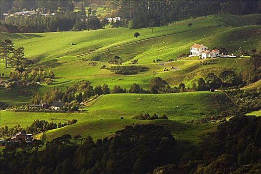 cau bach thu 888