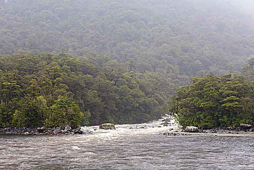 cau bach thu ngay mai